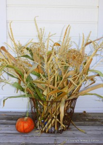 Post image for The Corn Harvest