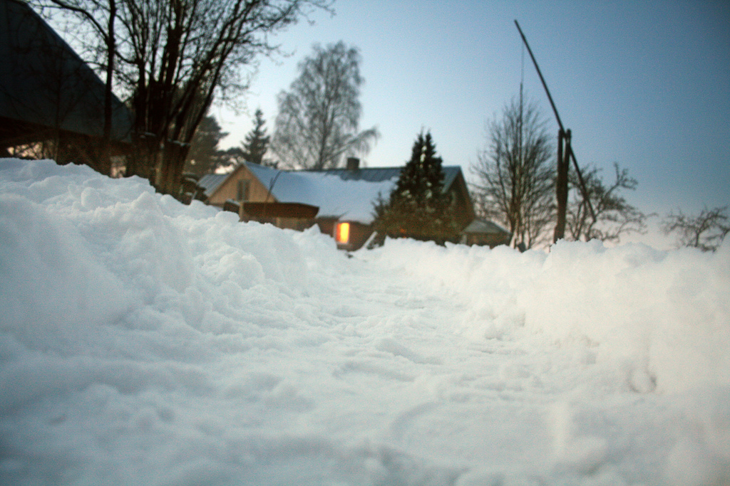 Winter Survival Tips From Five Pros