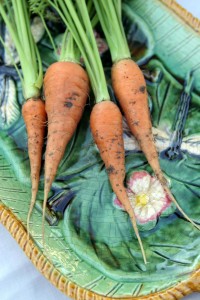 Carrots harvested straight from my garden. Photo by Isabel Gomes.