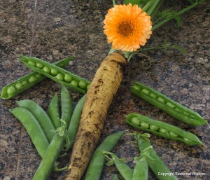 Post image for Five Cool-Season Vegetables To Grow From Seed