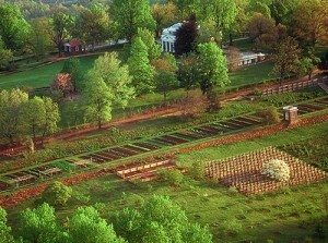 Aerial of Monticello Mountain from South, with main house, vegetable garden and south orchard. Copyright © Thomas Jefferson Foundation.