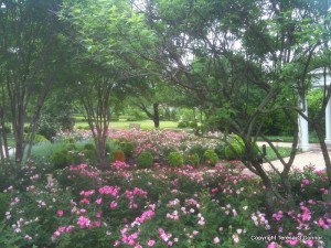 Post image for Garden Tour: Arkansas Governor’s Mansion