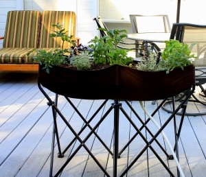 grow food in small spaces with an Easy Gardener planter