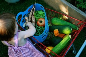 Kids should garden because it prepares them for life, as this little girl with the shopping basket shows.