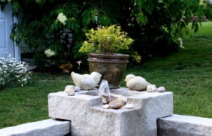 Post image for Product Review: Laguna Deck Pond + Fountain Tips