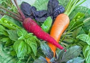 Post image for Grow: Peas, Carrots and Salad Greens