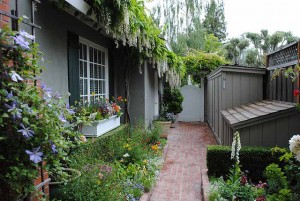 Post image for Book Review: Garden Up! (Vertical Gardening)