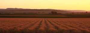 Sunset over Double XL Ranch . Photo copyright Kevin O'Connor.