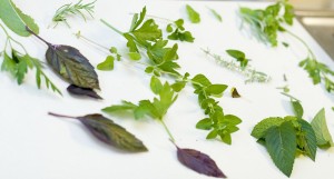 Post image for Harvesting and Preserving Herbs