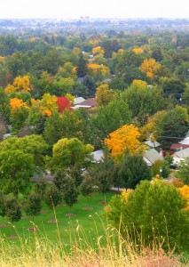 fall leaves in red and orange