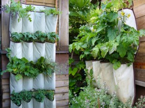 DIY vertical garden, living walls.