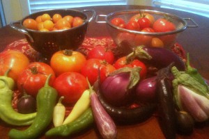 Post image for Grow: Different Tomato and Eggplant Varieties