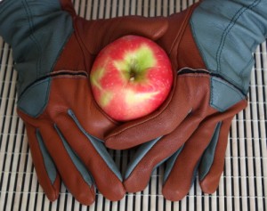 Forester gloves from Fields & Lane