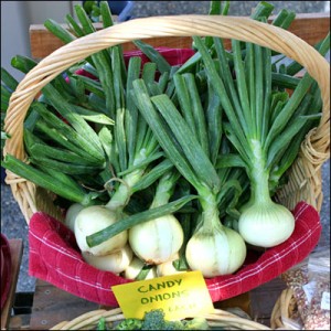 onions in basket at farmers market