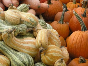 pumpkins and winter squash in a pile at farmer's market