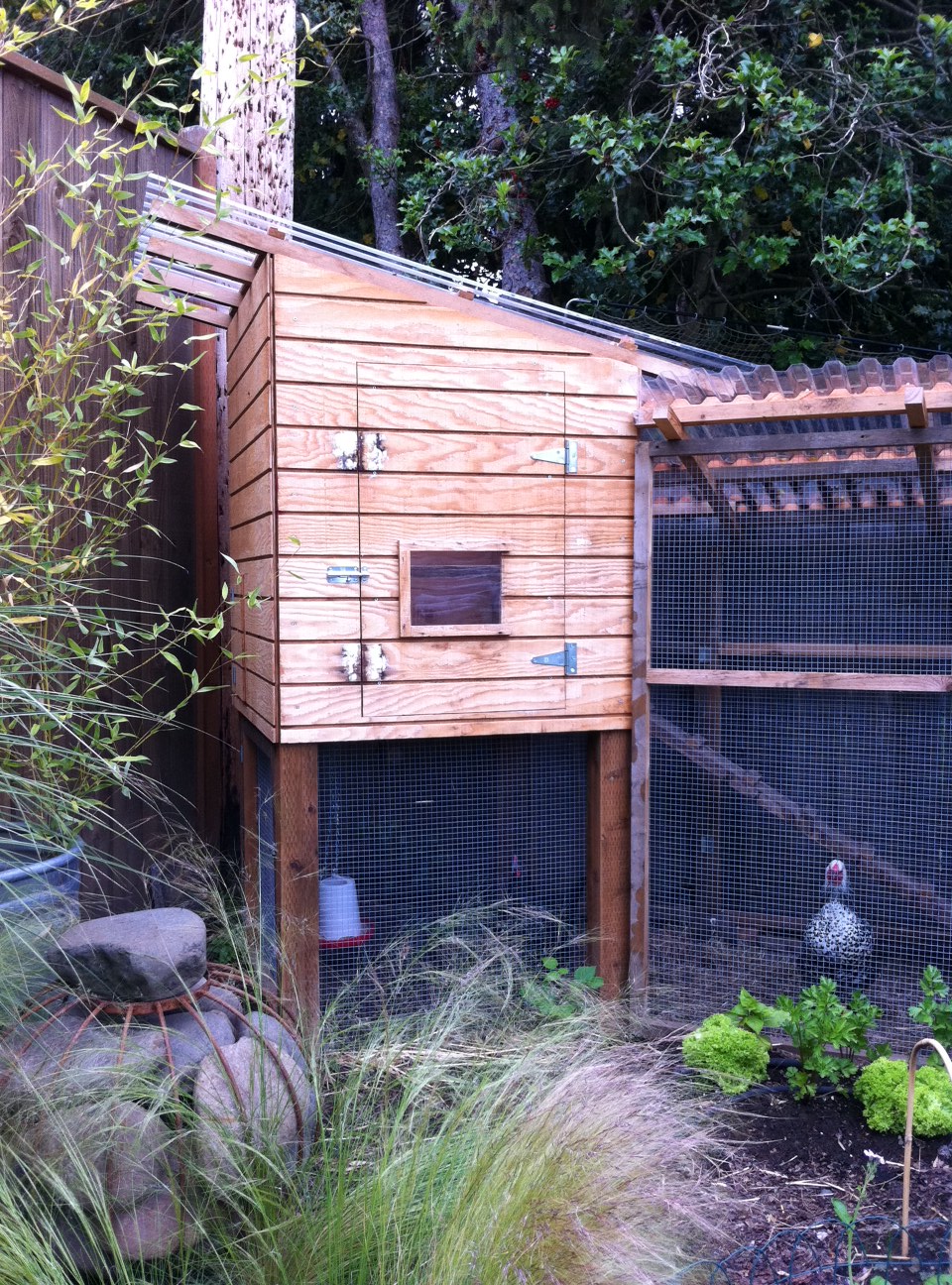 wood chicken coop and chickens