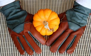 Post image for Win Fields & Lane Leather Gloves