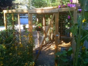 screened porch for chickens