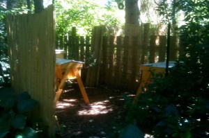 apiaries in backyard