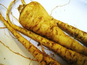 parsnips on a plate