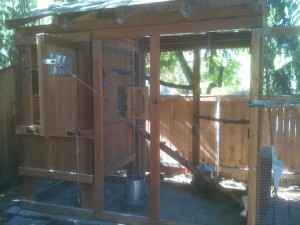 contemporary chicken coop