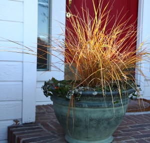 Ornamental grasses