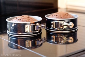 spring form pans for baking cakes