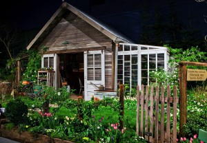 Cute garden shed and greenhouse