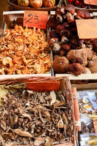 Fresh and dried wild mushrooms in Bologna, Italy