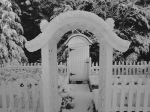 garden gates in winter
