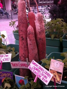 farmers market with vegetable plants for sale