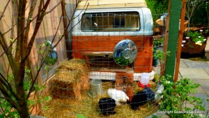 mobile chicken coop