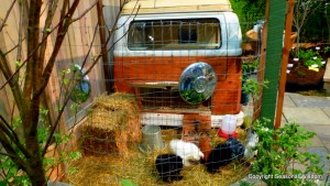 mobile chicken coop