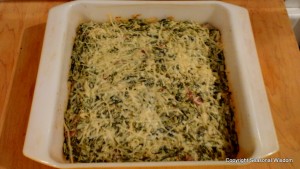 recipe for spinach and bacon dip