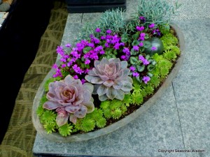 pretty container garden