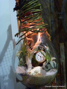 cool things to put in terrariums