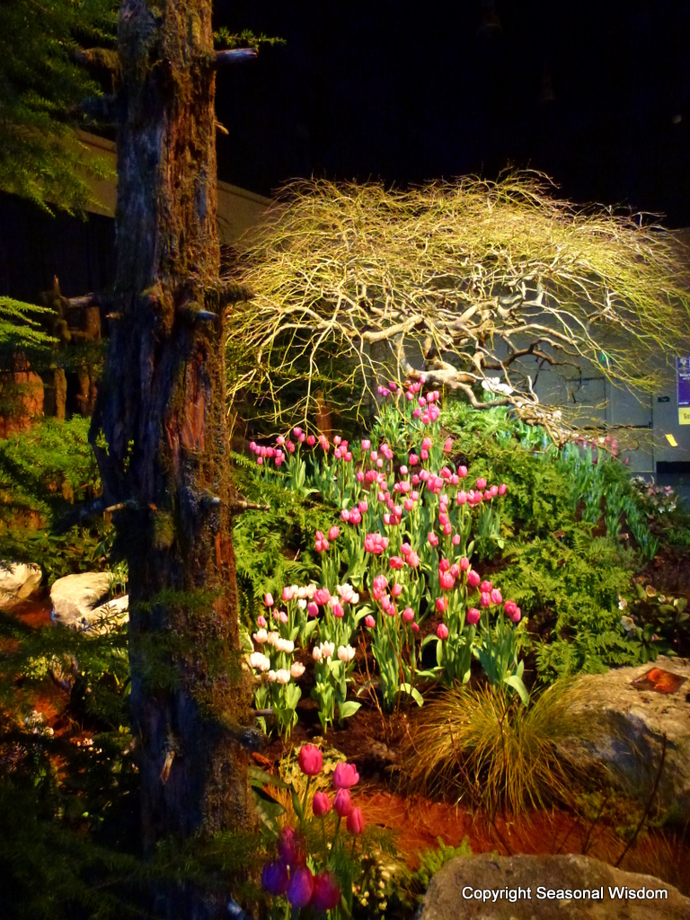 Garden Trends from 2012 Northwest Flower & Garden Show - Seasonal ...