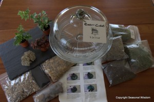 Modern terrarium package for today's gardeners