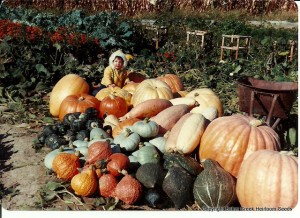 Jere Gettle of Baker Creek Heirloom Seed Company