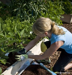 Avoid back pain in the garden