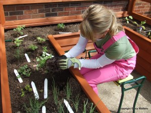 Post image for Five Fit to Garden Tips for Spring