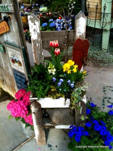 cute spring flower container