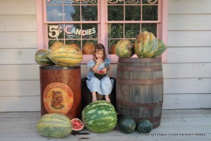 Little girl with heirloom watermelons