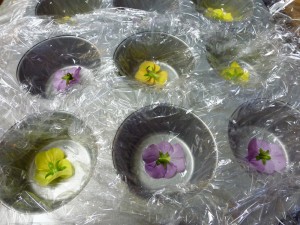 preparing strawberry semifreddo with flowers