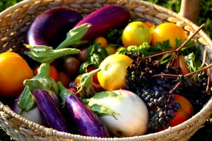 Post image for Experts Pick Three Great Vegetables To Grow