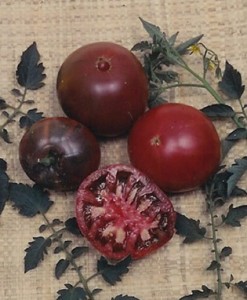 unusual tomato heirlooms