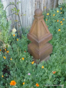 wildflowers in the home garden