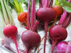 Post image for Growing Beets in the Garden