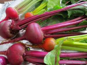 growing beets gives you lots of homegrown and colorful vegetables