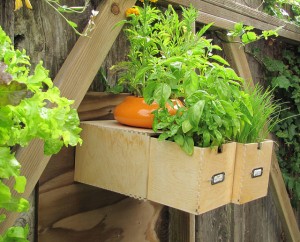 clever container ideas